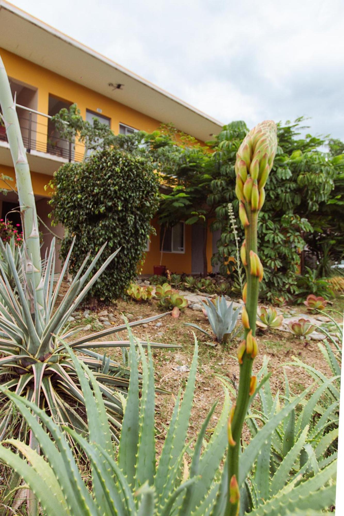 Hotel Guiva San Pablo Hacienda Blanca Екстериор снимка